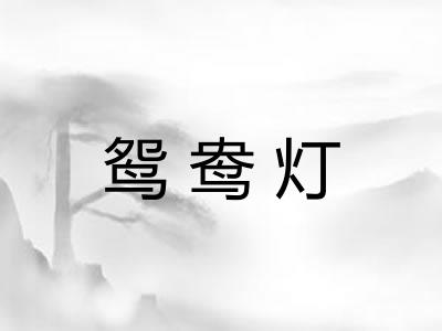 鸳鸯灯 鸳鸯灯