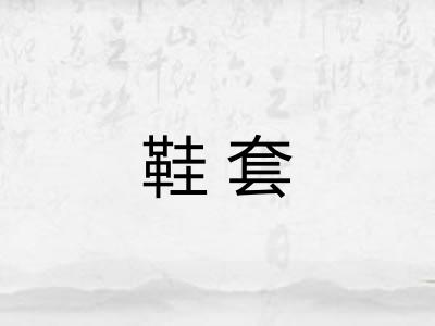 鞋套