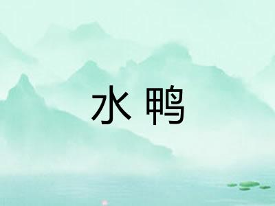 水鸭