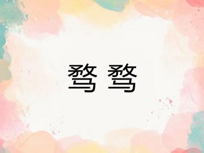 骛骛 骛骛