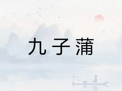 九子蒲