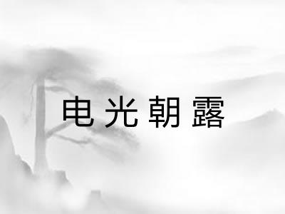 电光朝露
