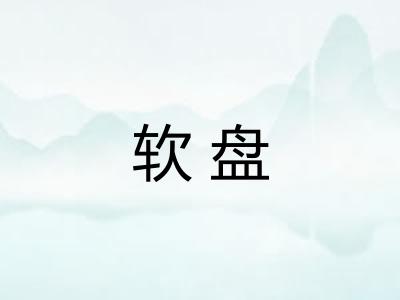 软盘