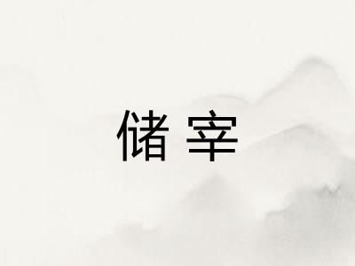 储宰