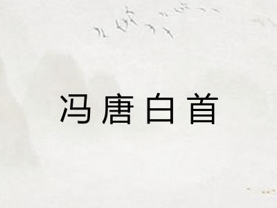 冯唐白首