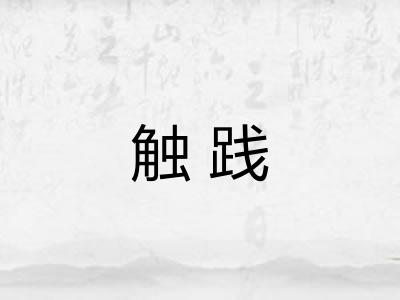 触践 触践