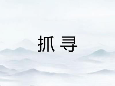 抓寻