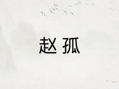 赵孤