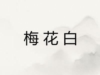 梅花白 梅花白