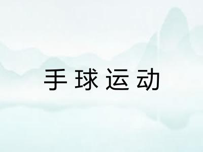 手球运动 手球运动