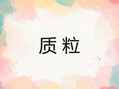 质粒