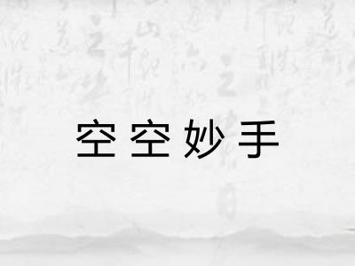空空妙手