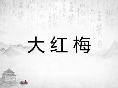 大红梅