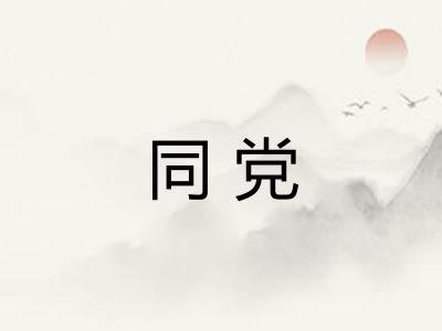 同党