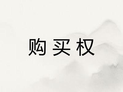 购买权 购买权