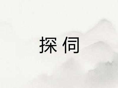 探伺 探伺
