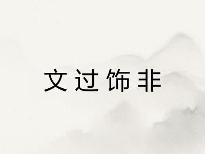 文过饰非