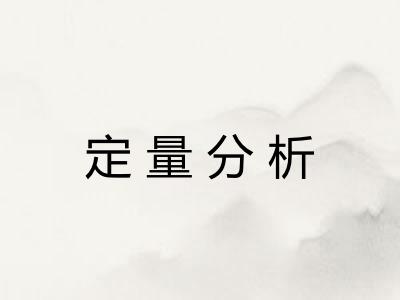 定量分析