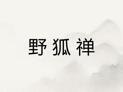 野狐禅