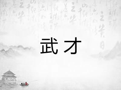 武才