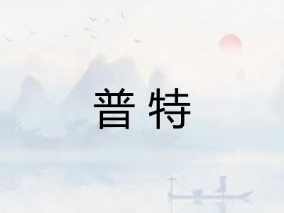 普特 普特