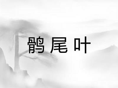 鹘尾叶