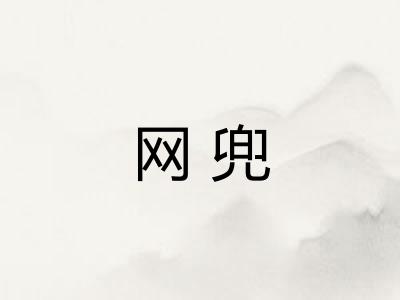 网兜