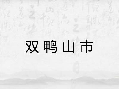 双鸭山市 双鸭山市