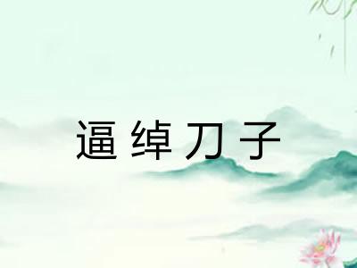 逼绰刀子