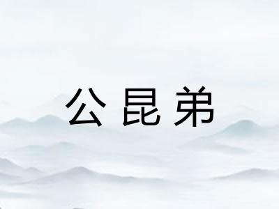 公昆弟