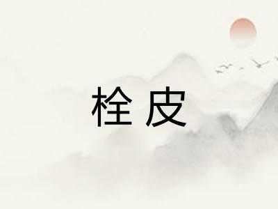 栓皮 栓皮
