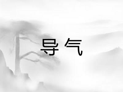 导气