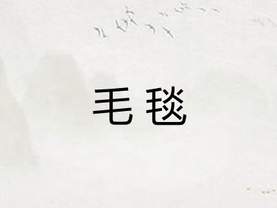 毛毯 毛毯