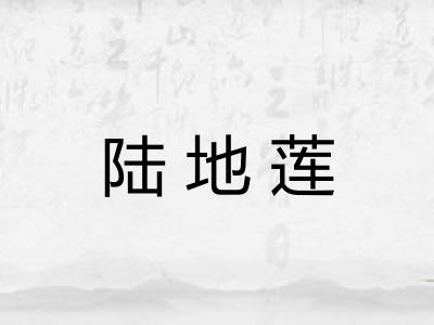 陆地莲
