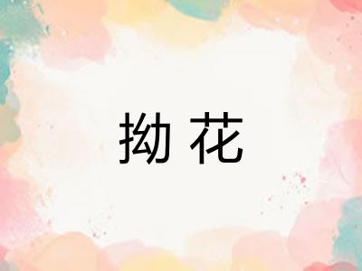 拗花 拗花