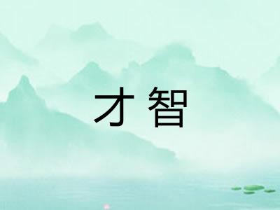 才智 才智