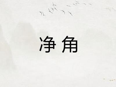 净角