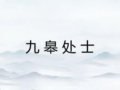 九皋处士