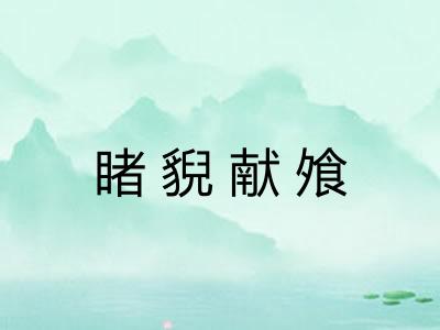 睹貎献飧