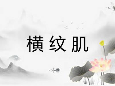 横纹肌