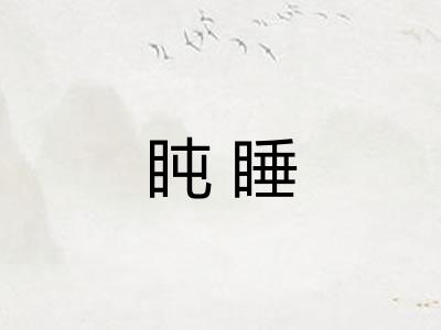 盹睡