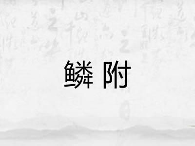 鳞附 鳞附