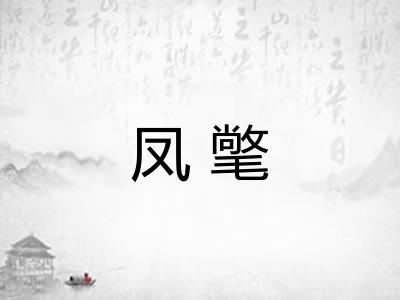 凤氅
