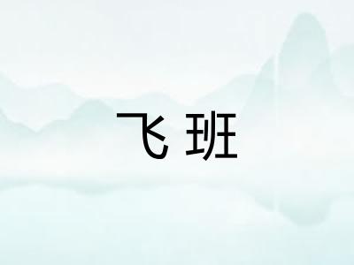 飞班 飞班
