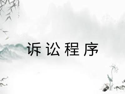 诉讼程序