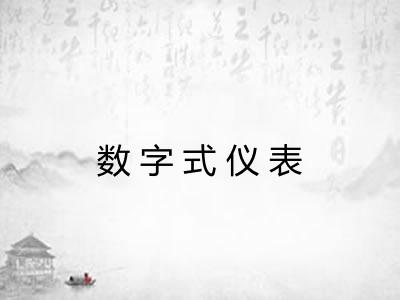 数字式仪表 数字式仪表