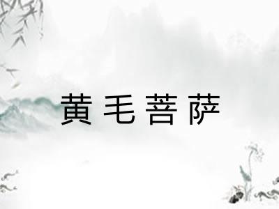 黄毛菩萨