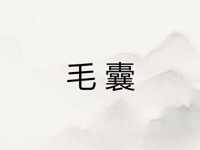 毛囊