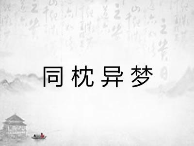 同枕异梦