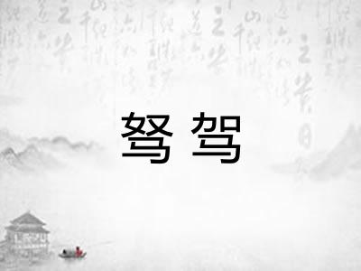 驽驾